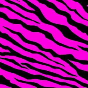 Meet your Posher, Ella